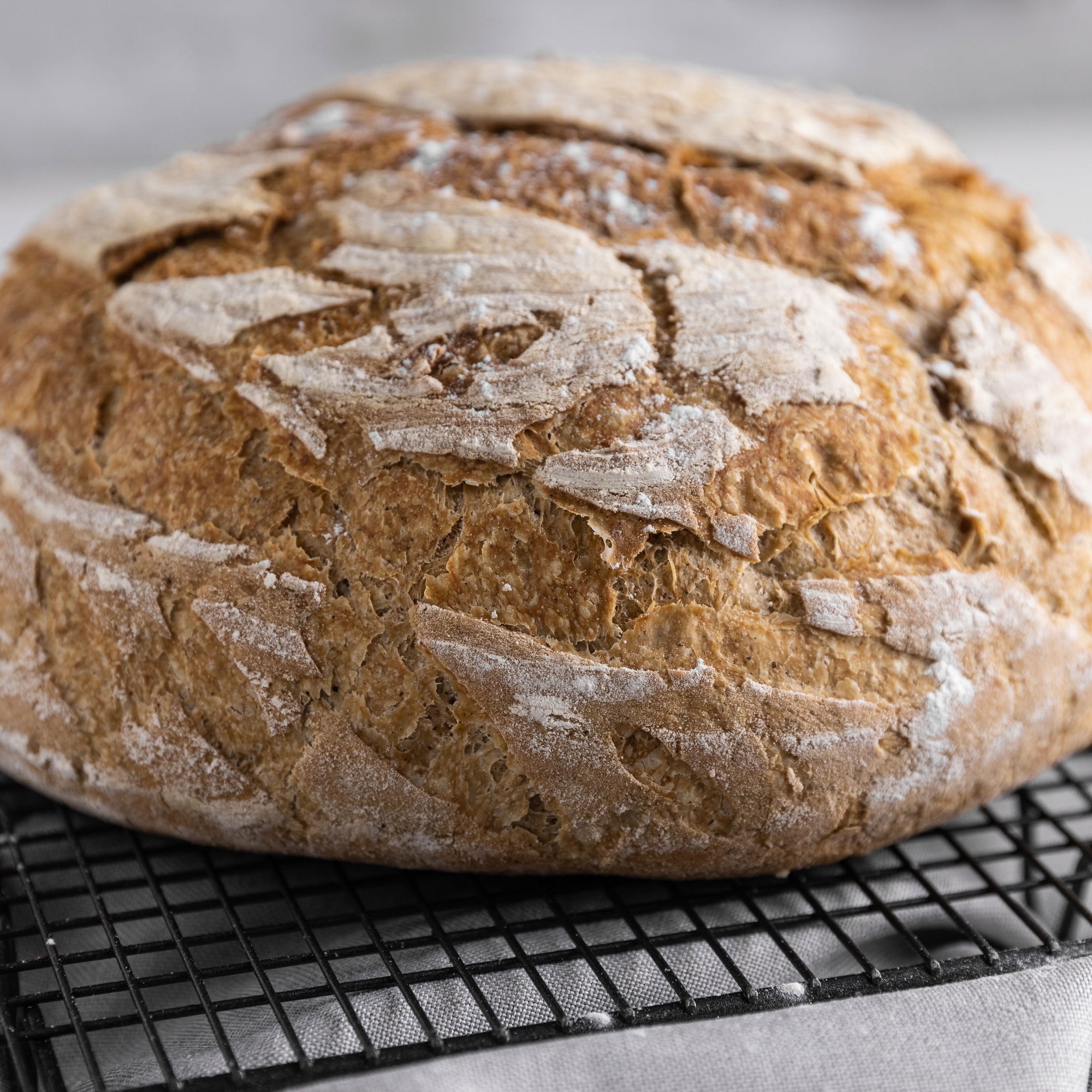 Sallys Brotskalpell