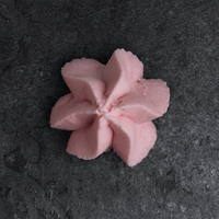 Sallys Sterntülle - 14 mm