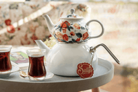 Sallys Teeglas Set