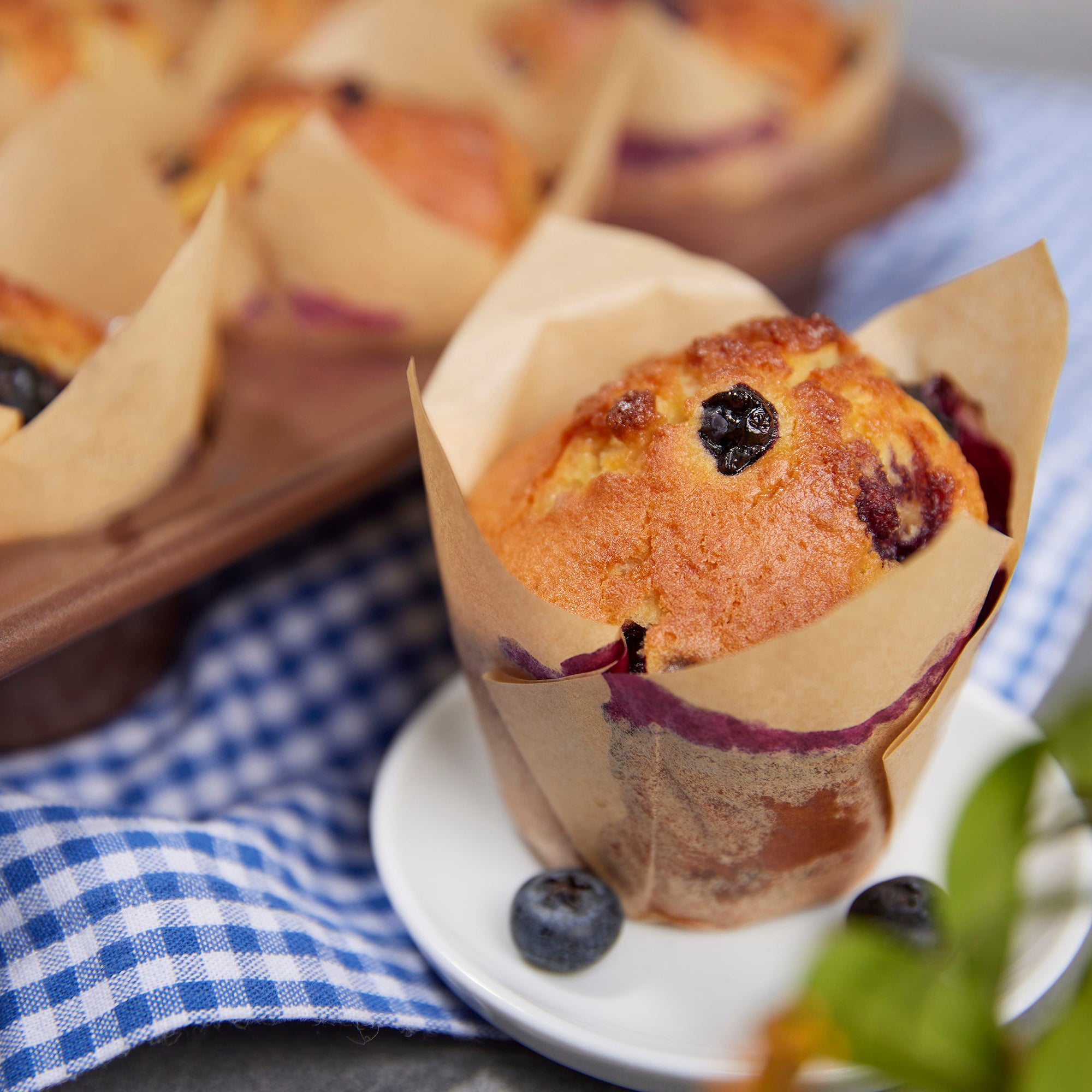 Sallys XXL Muffinförmchen - Tulpenform