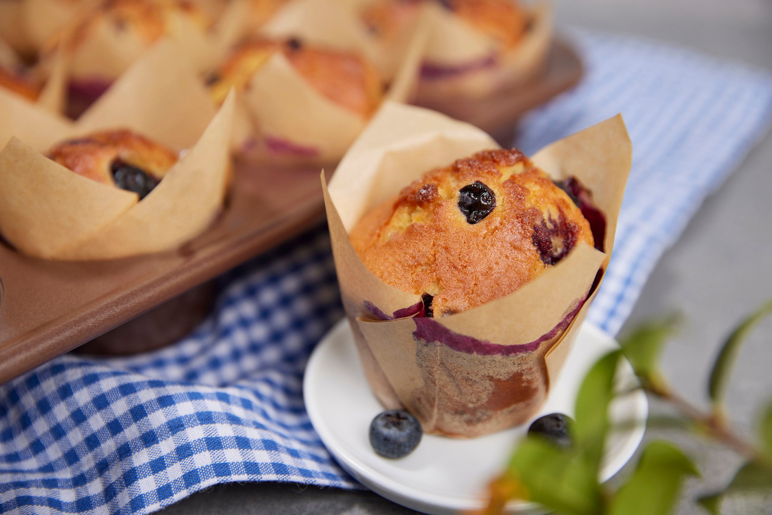 Sallys XXL Muffinförmchen - Tulpenform