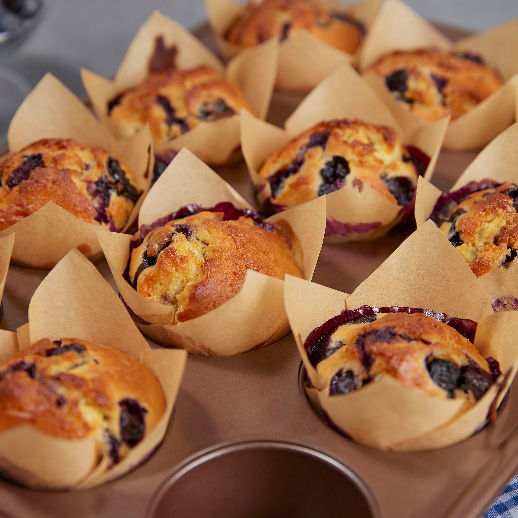 Sallys XXL Muffinförmchen - Tulpenform