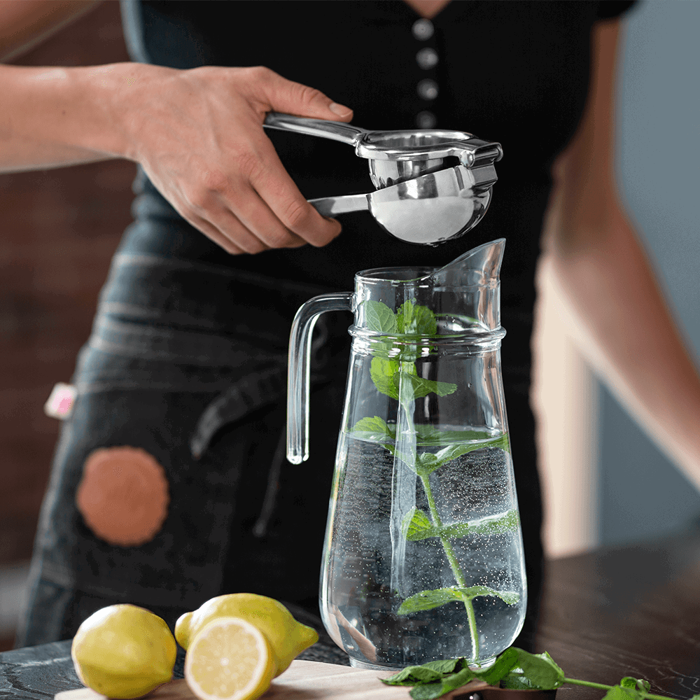 Sallys Edelstahl Zitruspresse all-in-one Presse