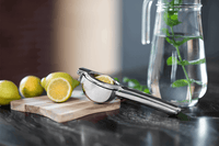 Sallys Edelstahl Zitruspresse all-in-one Presse