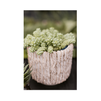 Plant Pot Senja