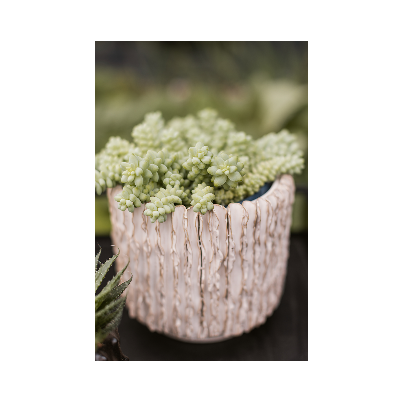 Plant Pot Senja