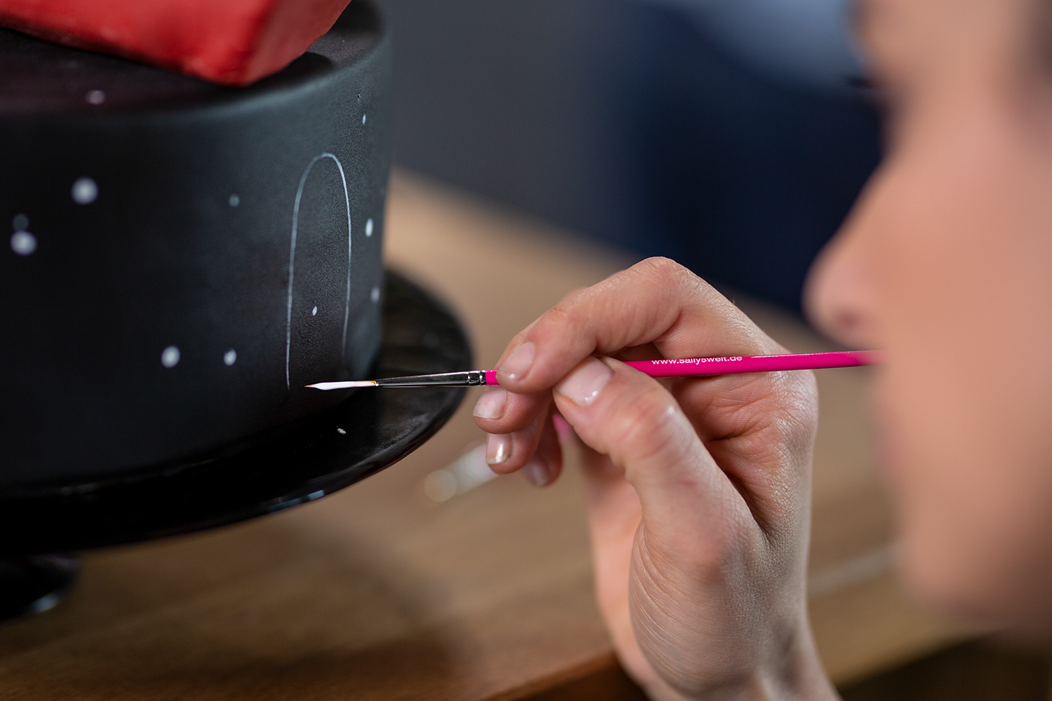 Sallys Pinsel-Set 10tlg