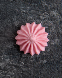 Sallys Feine Sterntülle - 17 mm