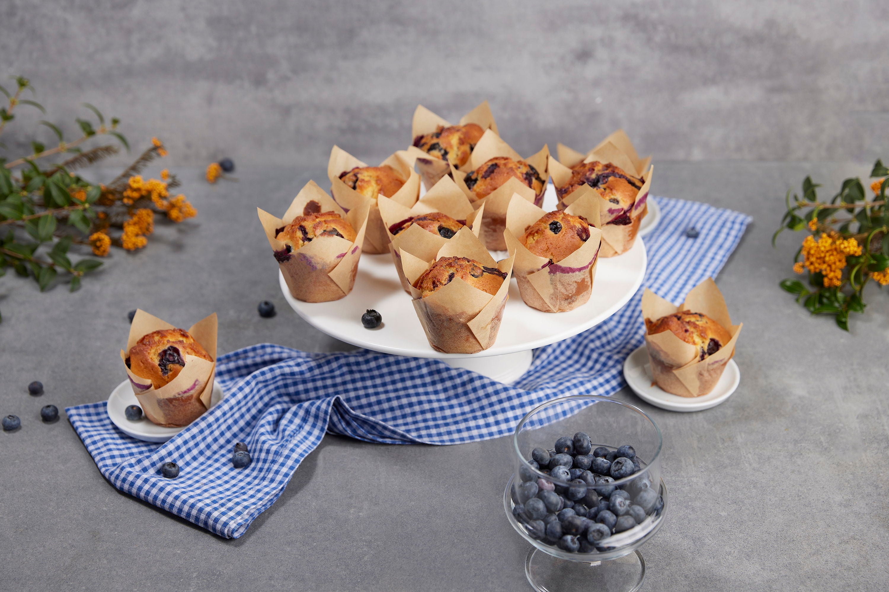 Sallys XXL-Muffin-Set